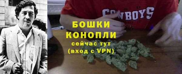 прущая мука Корсаков