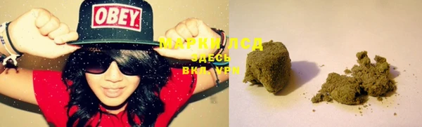 прущая мука Корсаков