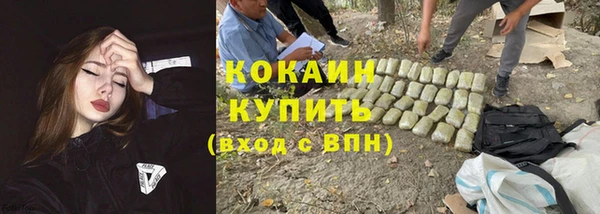 прущая мука Корсаков