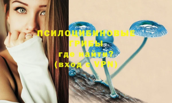 ECSTASY Козловка
