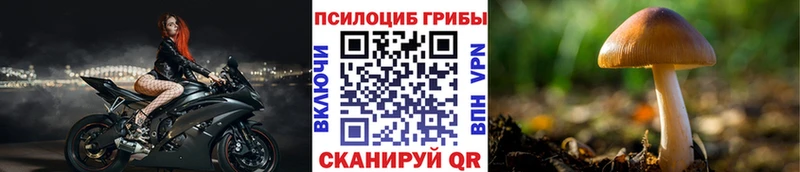 Псилоцибиновые грибы прущие грибы Коркино