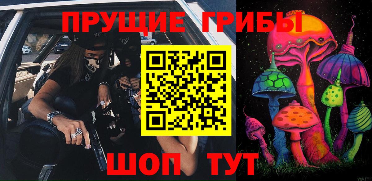 Псилоцибиновые грибы Psilocybine cubensis Коркино