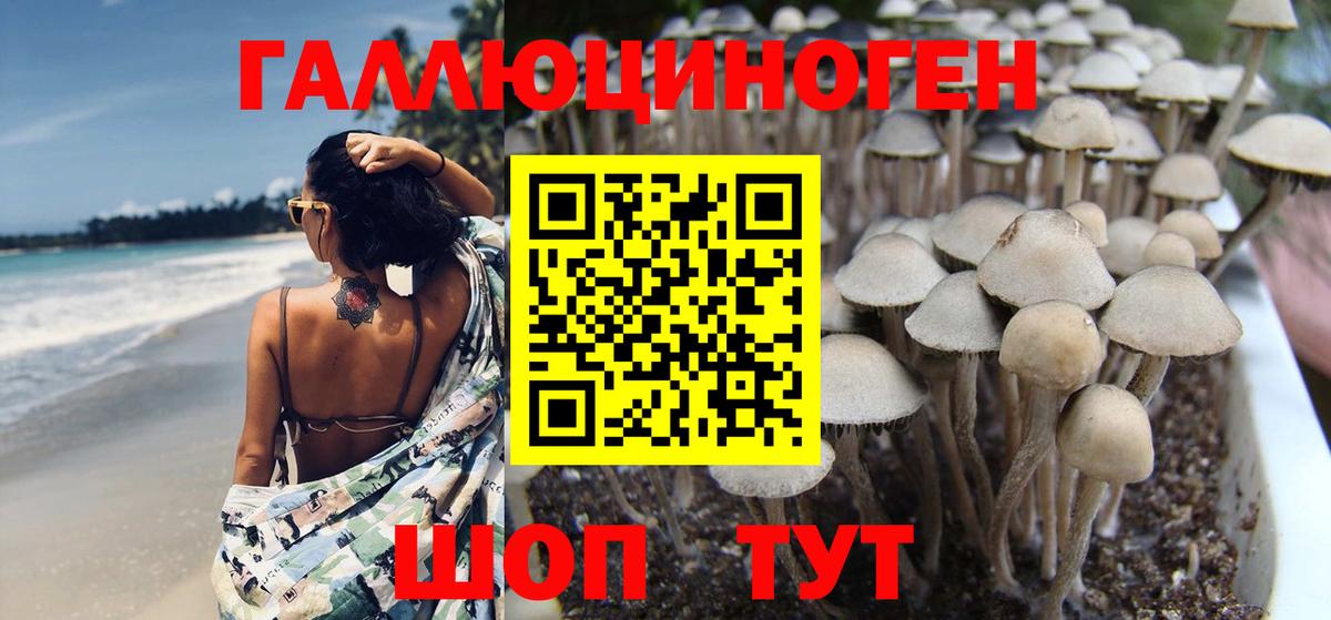 Галлюциногенные грибы ЛСД  Галлюциногенные грибы GOLDEN TEACHER  Коркино  Вход с VPN 